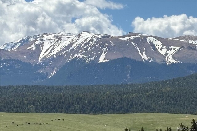 407 Meadow Park Dr, Divide, CO 80814 - photo 49