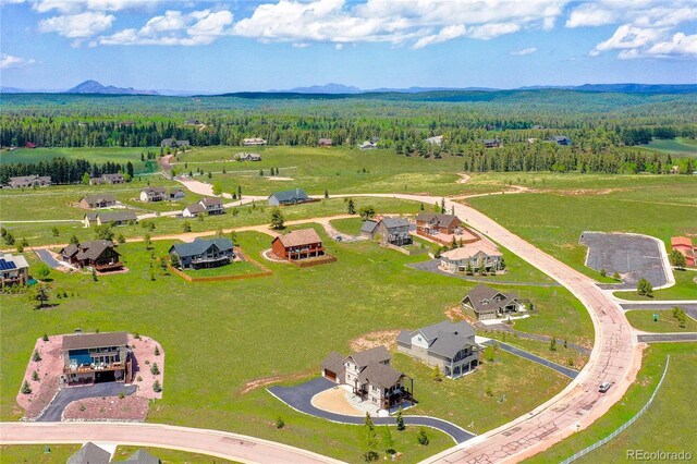 407 Meadow Park Dr, Divide, CO 80814 - photo 50