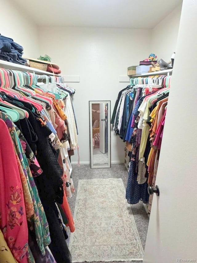 12546 E Cornell Ave Unit 104, Aurora, CO 80014 - spacious closet featuring carpet flooring