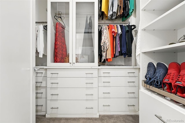 view of spacious closet