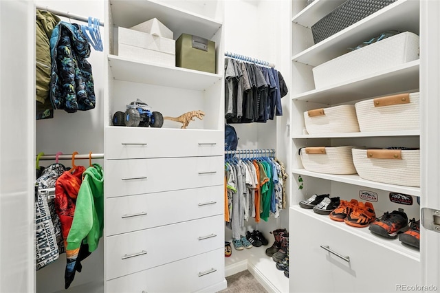 spacious closet featuring carpet