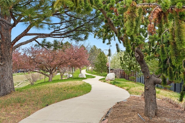 view of home's community