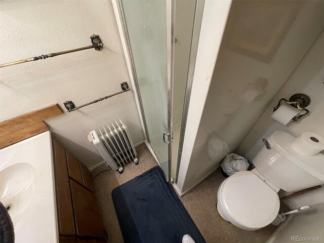 11798 Sidney Rd, Golden, CO 80403 - bathroom featuring a shower stall, toilet, and vanity