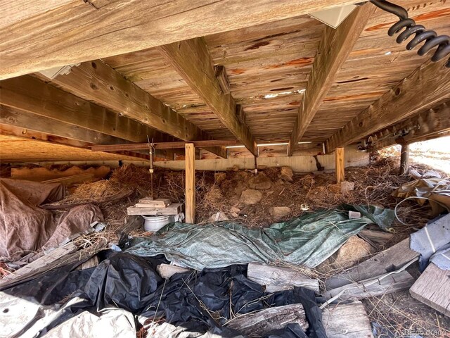 11798 Sidney Rd, Golden, CO 80403 - view of inside crawl space