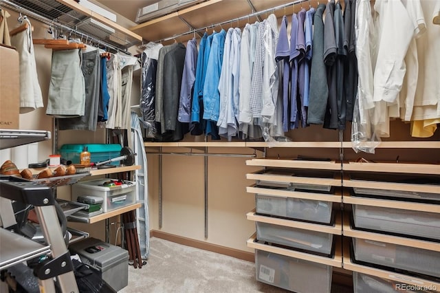 spacious closet featuring carpet floors