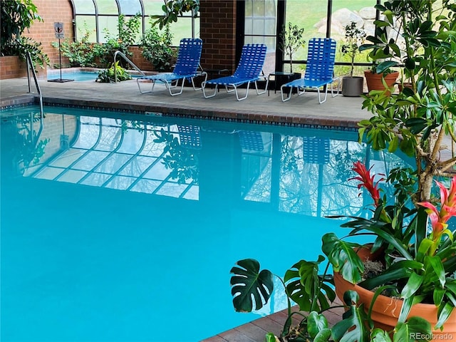 view of pool featuring a patio area and glass enclosure