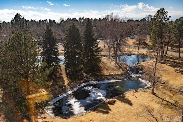 bird's eye view featuring a forest view and a water view