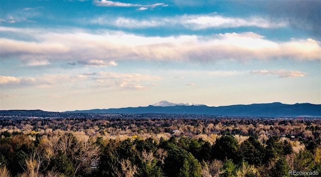 view of mountain feature featuring a view of trees