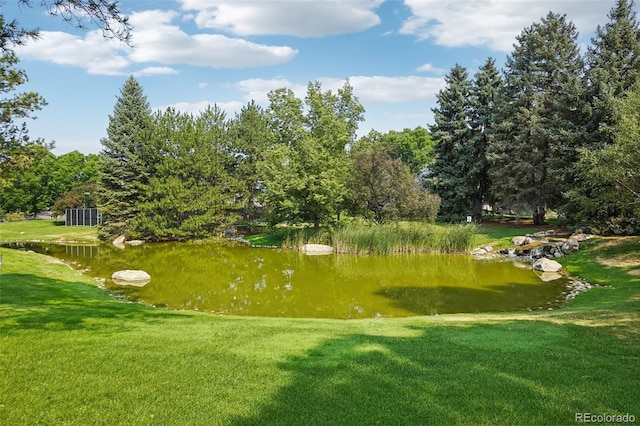 view of community featuring a lawn