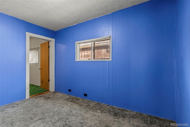 116 E 12th St, Leadville, CO 80461 - carpeted spare room with a textured ceiling