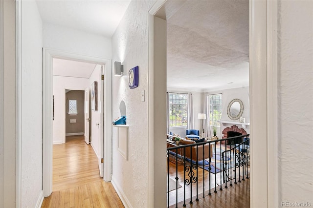 3055 N Albion St, Denver, CO 80207 - photo 18