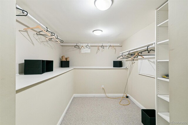 3055 N Albion St, Denver, CO 80207 - photo 27