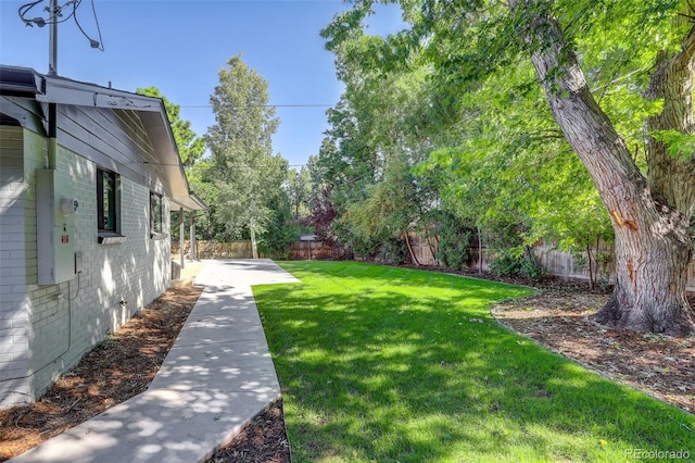 view of yard featuring a patio area