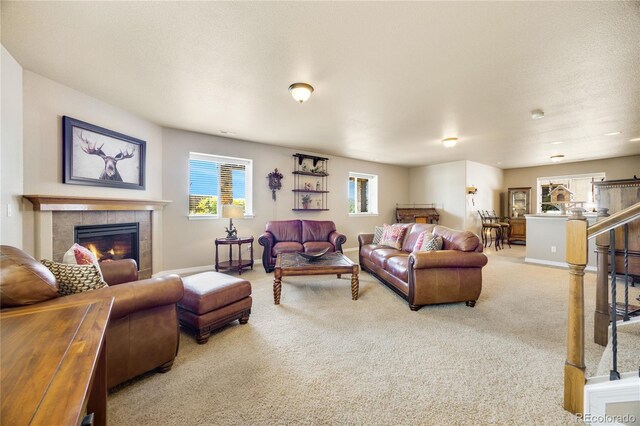 12950 Penfold Dr, Colorado Springs, CO 80921 - photo 20