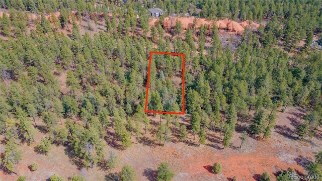 8253 Bannock Dr, Larkspur, CO 80118 - photo 3