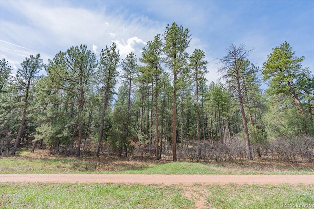 8253 Bannock Dr, Larkspur, CO 80118 - photo 4