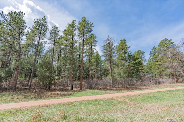 8253 Bannock Dr, Larkspur, CO 80118 - photo 5