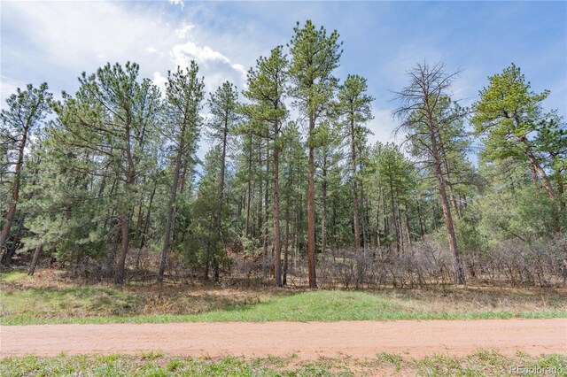 8253 Bannock Dr, Larkspur, CO 80118 - photo 6
