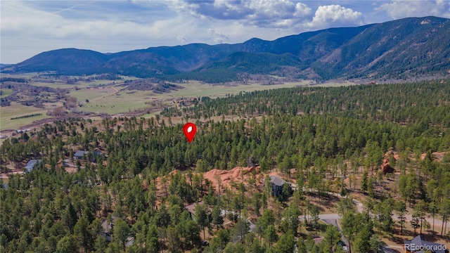 8253 Bannock Dr, Larkspur, CO 80118 - photo 7