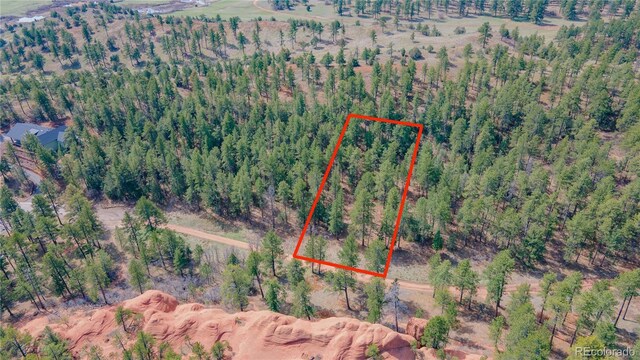 8253 Bannock Dr, Larkspur, CO 80118 - photo 8