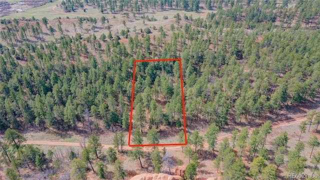 8253 Bannock Dr, Larkspur, CO 80118 - photo 9