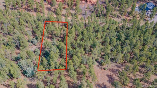 8253 Bannock Dr, Larkspur, CO 80118 - photo 10