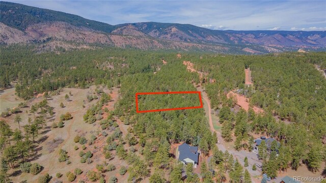 8253 Bannock Dr, Larkspur, CO 80118 - photo 11