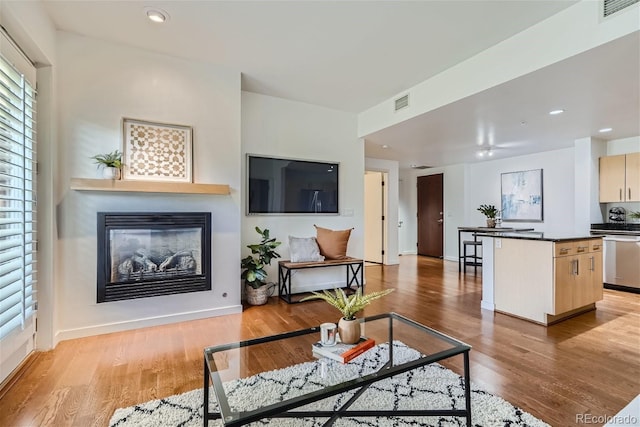 living room featuring light hardwood / wood-style flooring