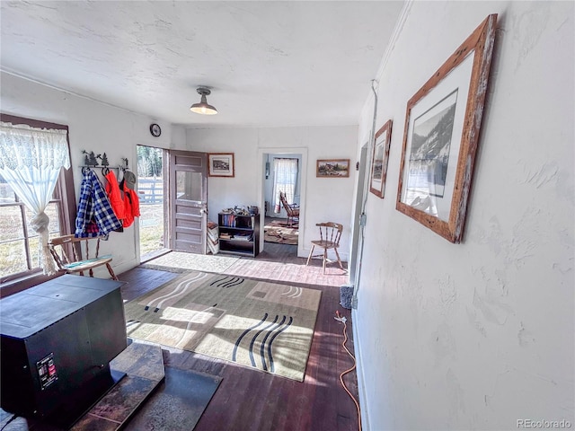 interior space with wood-type flooring and plenty of natural light