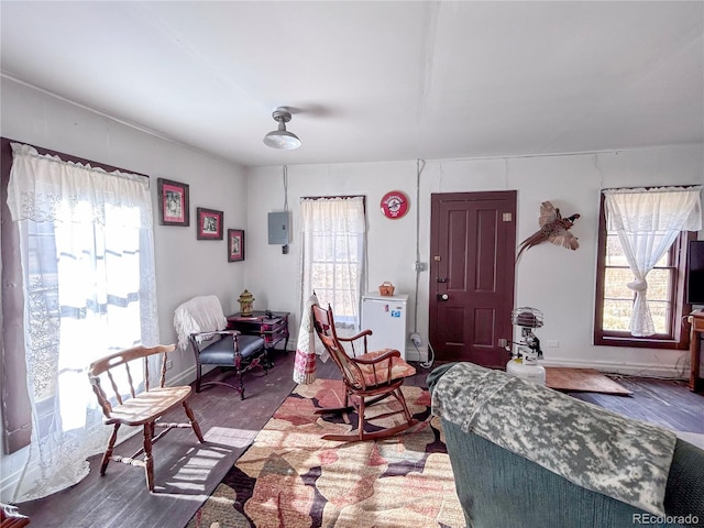 living room with hardwood / wood-style floors, a healthy amount of sunlight, and electric panel