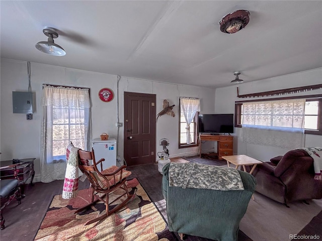 living room featuring electric panel