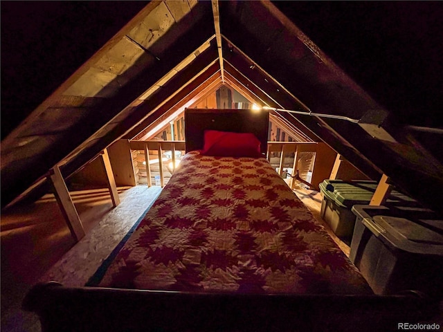 316 S Main, Bonanza, CO 81155 - view of unfinished attic