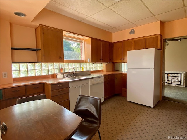 kitchen featuring light colored carpet, a drop ceiling, sink, and white appliances