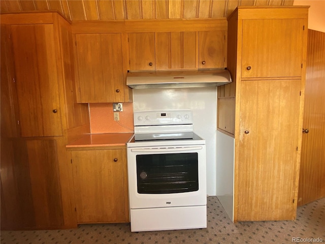 kitchen with electric stove, wood walls, and wooden ceiling