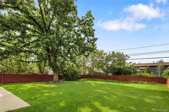 1840 E 84th Ave, Denver, CO 80229 - view of yard