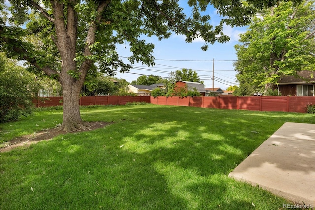 1840 E 84th Ave, Denver, CO 80229 - photo 21