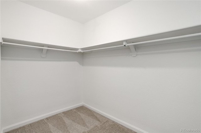 spacious closet with carpet floors