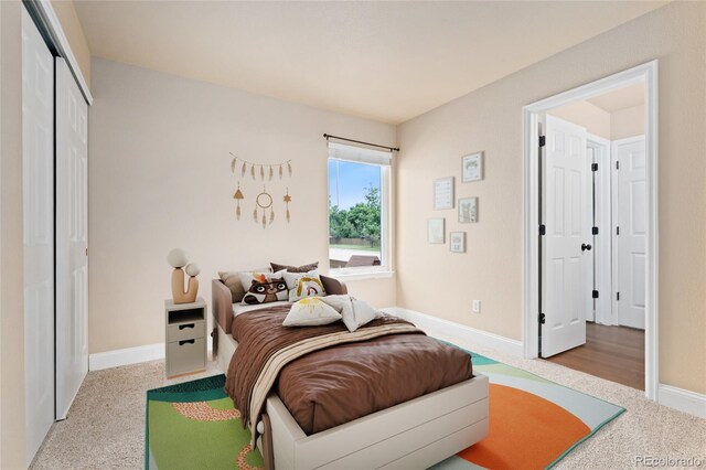 10294 Spotted Owl Ct, Highlands Ranch, CO 80129 - photo 5