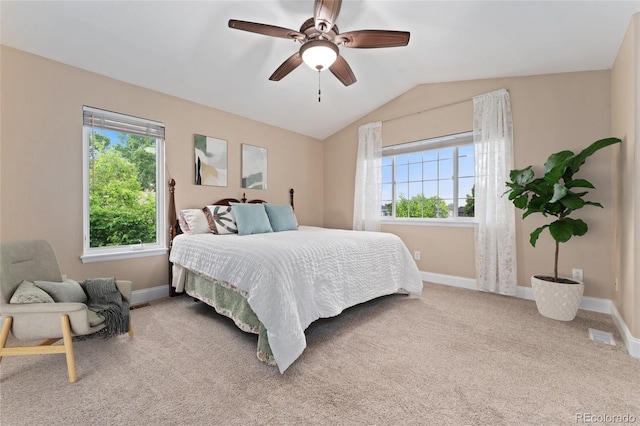 10294 Spotted Owl Ct, Highlands Ranch, CO 80129 - photo 6