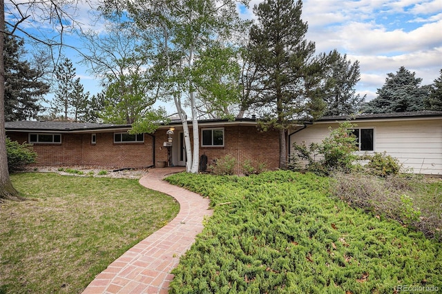 back of house featuring brick siding and a yard