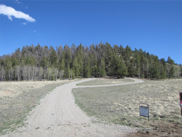 394 Tapedero Rd, Hartsel, CO 80449