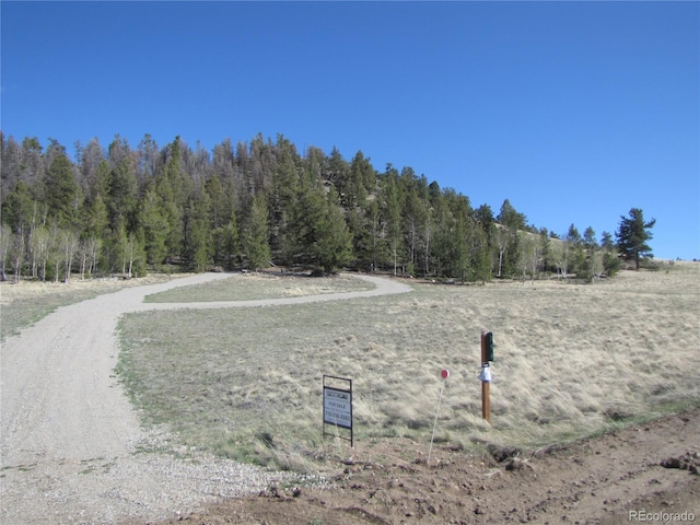 394 Tapedero Rd, Hartsel, CO 80449