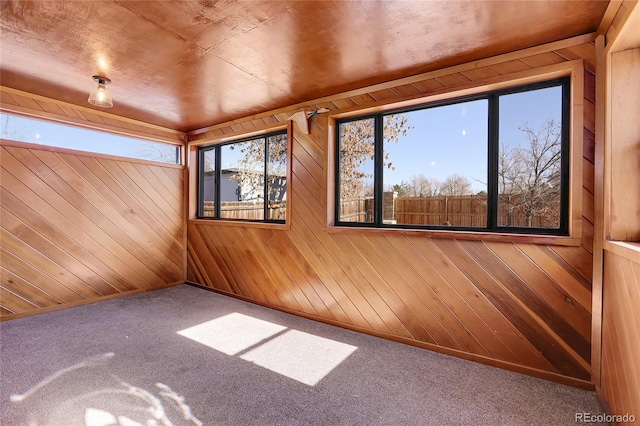 spare room with wooden walls and carpet flooring