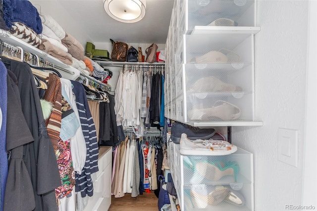 spacious closet featuring wood finished floors