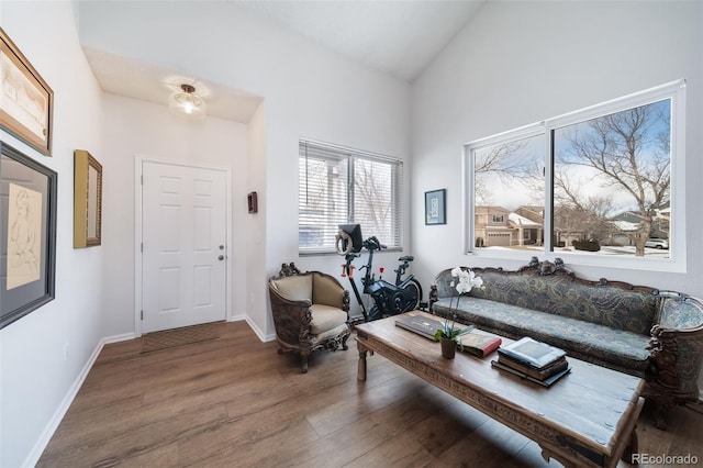 living room with hardwood / wood-style flooring and lofted ceiling