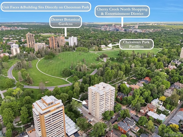 drone / aerial view