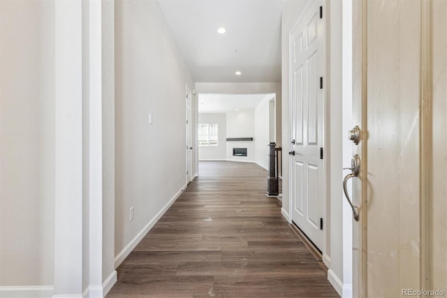 hall featuring dark wood-type flooring