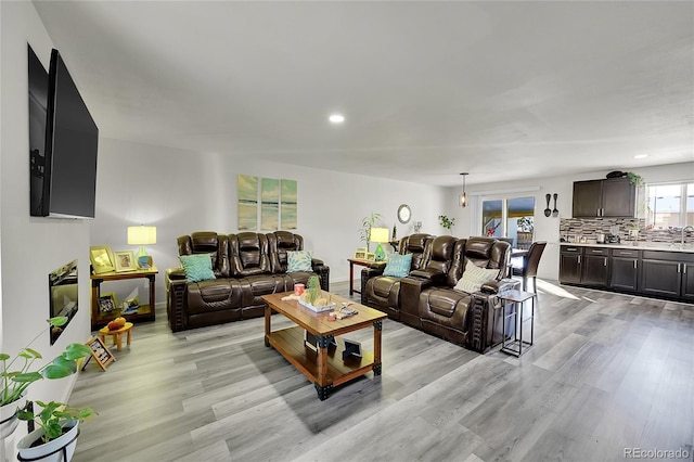 living room featuring light hardwood / wood-style flooring