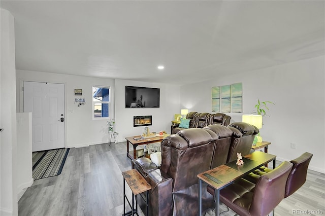 living room with light wood-type flooring