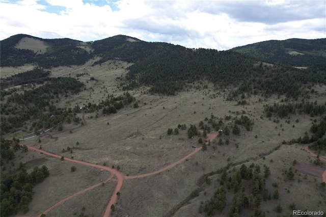 706 Bristlecone Rd, Guffey, CO 80820